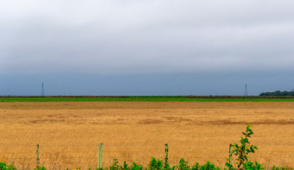 Obraz premium rural landscape on the border of Brazil with Uruguay-4.NEF