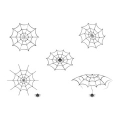 spider web  ilustration