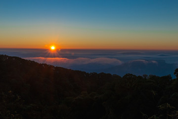 Fototapeta premium Sun rise fog Doi Inthanon National Park Thailand