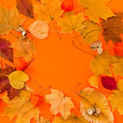 Naklejka na ściany i meble Dry leaves wreath frame on orange color background