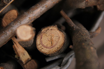 brushwood in a bucket for a stove or fireplace near a brick wall. Old firewood basket on a rustic wooden floor