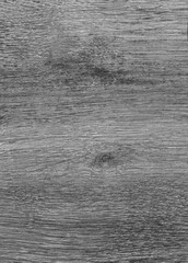 Fototapeta premium A Regular wood texture. Subtle color wooden background for natural banner. Timber surface closeup. Natural material for banner template. Wood surface background in shades of grey