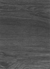 Obraz premium A Regular wood texture. Subtle color wooden background for natural banner. Timber surface closeup. Natural material for banner template. Wood surface background in shades of grey