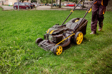 Fototapeta premium The worker mows the grass on the site, cares for the garden, uses a gasoline lawn mower.