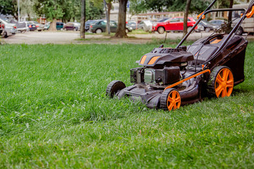 The worker mows the grass on the site, cares for the garden, uses a gasoline lawn mower.
