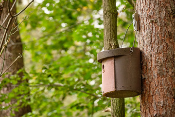 Brown birdhouse hanging at a tree in the green forest. Seen in Franconia / Bavaria, Germany in October.