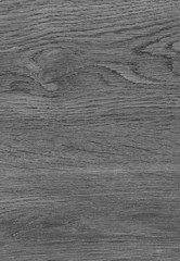  A Regular wood texture. Subtle color wooden background for natural banner. Timber surface closeup. Natural material for banner template. Wood surface background in shades of grey