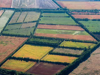 vue aérienne de champs colorés à Saint-Hilaire-la-Palud en Charente Maritime en France