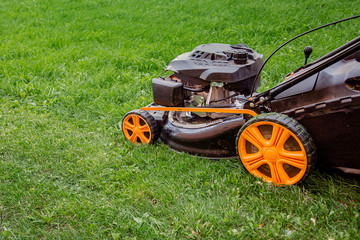 Fototapeta premium The worker mows the grass on the site, cares for the garden, uses a gasoline lawn mower.