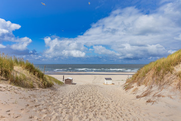 View To Long Sunny Beach Of Texel Island Netherlands