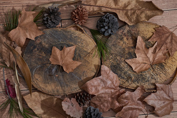 Trunk with leaves and pine cone