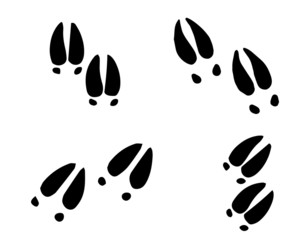 Deer and moose tracks black silhouette. Vector animals footprint set isolated on a