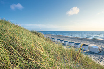 Fototapeta na wymiar Beach View With Beach Cabins And High Dunes With Grass At Texel Netherlands