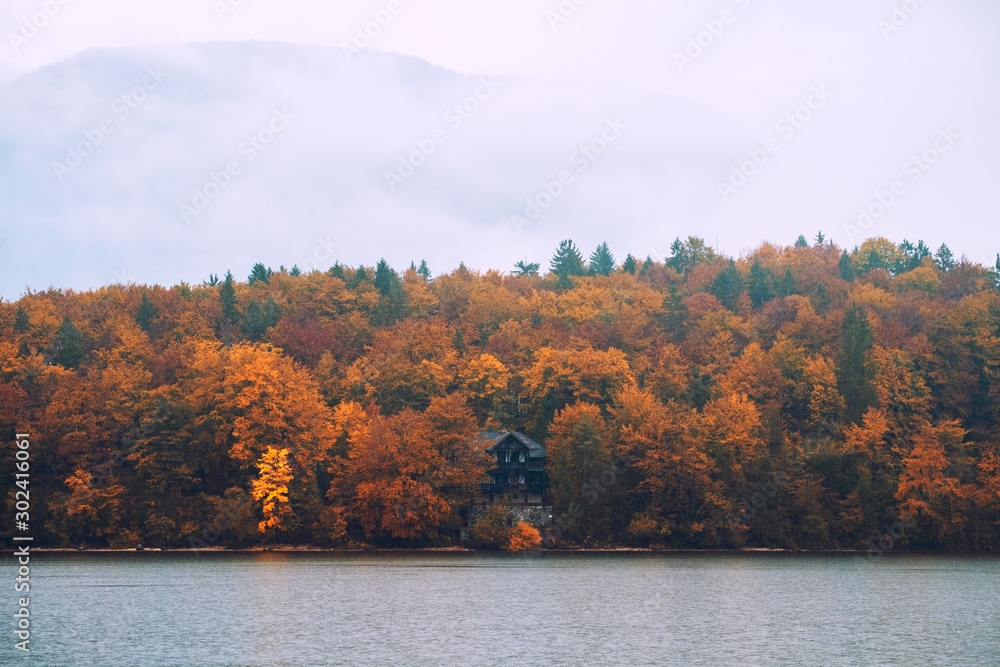 Wall mural Beautiful autumn scenery at lake Bohinj