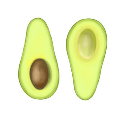 Avocado hand drawn isolated on a white background