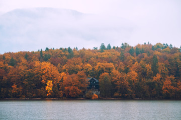 Beautiful autumn scenery at lake Bohinj