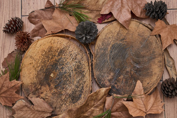 Trunk with leaves and pine cone