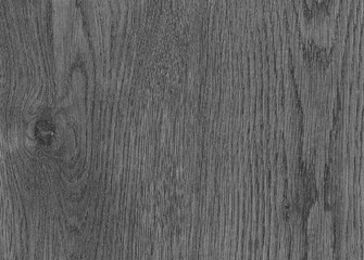 Obraz premium A Regular wood texture. Subtle color wooden background for natural banner. Timber surface closeup. Natural material for banner template. Wood surface background in shades of grey