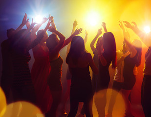Brightness. A crowd of people in silhouette raises their hands on dancefloor on neon light...
