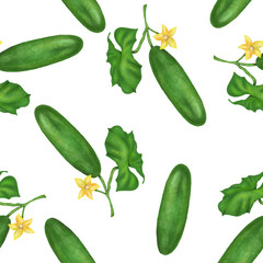 Seamless pattern with cucumbers, hand drawn on a white background