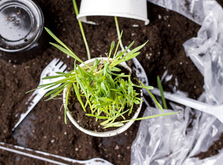freedom from plastic. Harmful to the environment. Ecological problems.