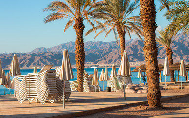 Gulf of Aqaba red sea palm beach summer scenic landscape view with closed umbrella and lounges in morning time without people 