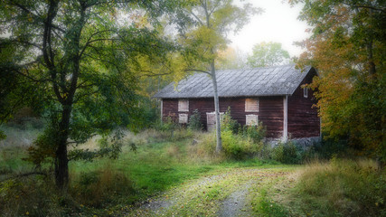 Fototapeta na wymiar A small forest road and an old red house in the forest