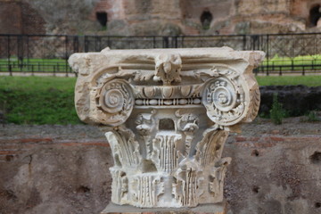 capitello