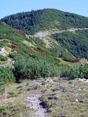 view of mountains meadow trip