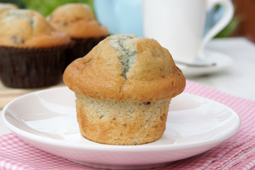 Fresh baked blueberry muffins