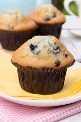 Fresh baked blueberry muffins