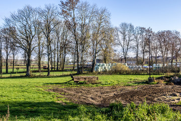 The crop is stored near the barn among the trees. Silo bales stacked in a pyramid. Against the background of a dairy farm. Podlasie, Poland.