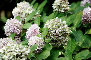  jardines costa brava