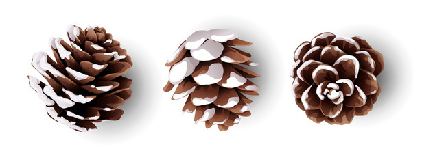   Set of winter holiday decorations. Fir cone isolated on white. Vector illustration