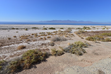 The beach area a the Salton sea in California