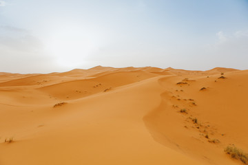 Desert landscape with orange dunes and blue sky at sunset.