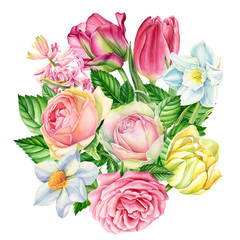 spring bouquet, flowers of roses, narcissus, tulips, hyacinths on a white background, watercolor illustration, botanical painting