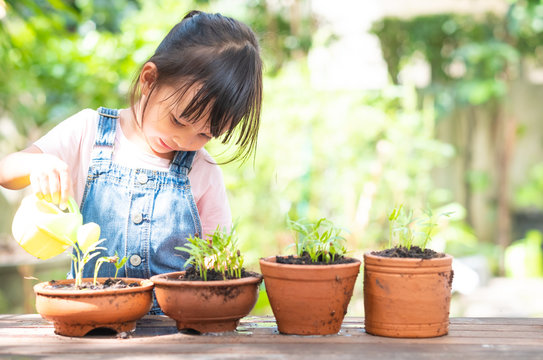 Adorable 3 years old asian little girl is watering the plant  in the pots in the garden outside the house, concept of plant growing learning activity for preschool kid. And child education of nature.