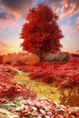 Selbstklebende Fototapeten eine mystische herbstliche Landschaft (3D-Rendering) © rtype