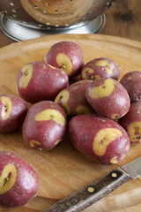 Apache Potatoes an unusual variety with red skins and creamy white patches 