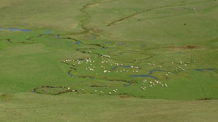 aerial view of golf course