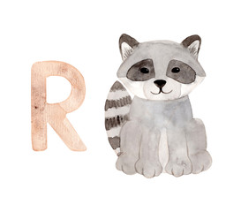 Watercolor hand painted raccoon. Racoon Isolated on white background.