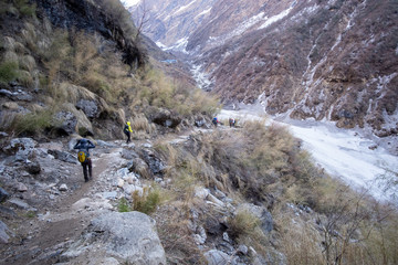 Trekker on the way to Annapurna base camp. Nepal