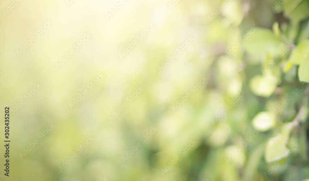 Poster green leaf background yellow, blurry leaves bokeh circles from light shining through as a background