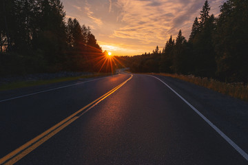 Road to the sunset. Asphalt road in the forest and the sun