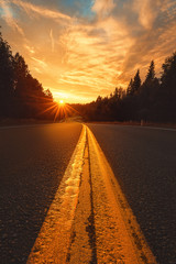 Road to the sunset. Asphalt road in the forest and the sun