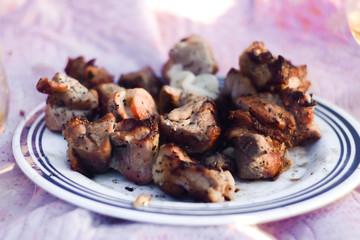 delicious barbecue on a plate. summer picnic