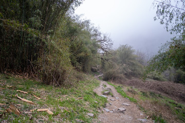 Trail on the Annapurna Base Camp Trek in tropical Rain forest Nepal.