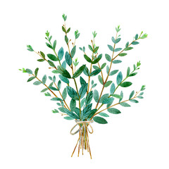 Floral bouquet of eucalyptus branches. Watercolor hand drawn illustration.It can be used for greeting cards, posters, wedding cards.White background.	