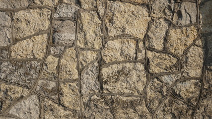 Background, background, texture stones, tree, fir, old masonry, beautiful masonry, fire, landscape, chrome key.
